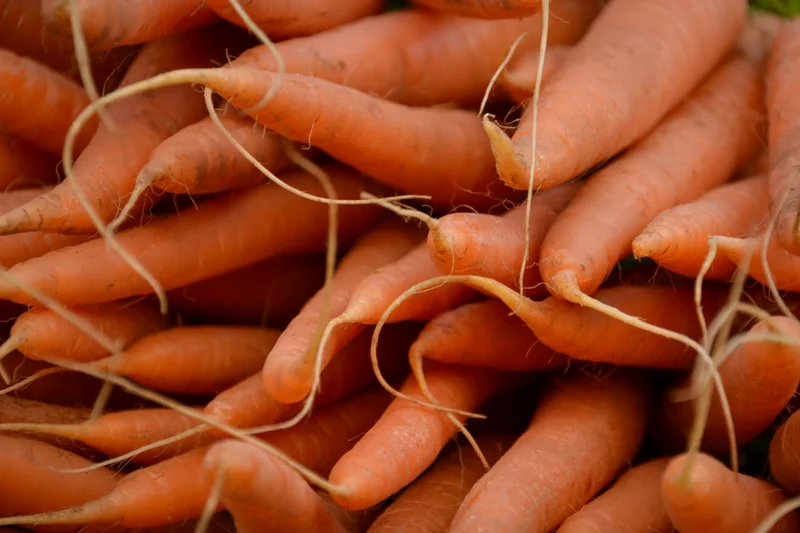 Carrots