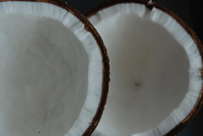 Coconut