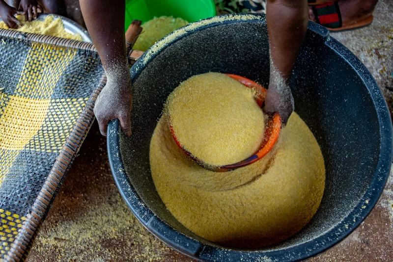 Cornmeal