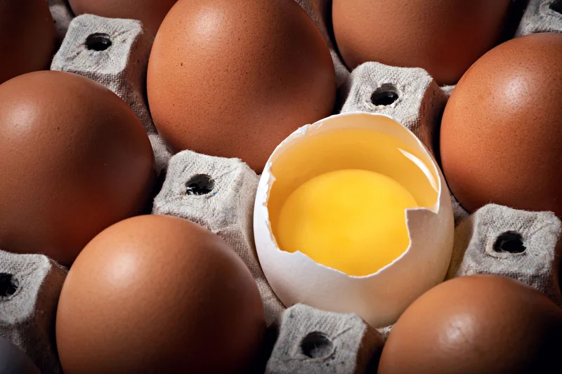 Egg