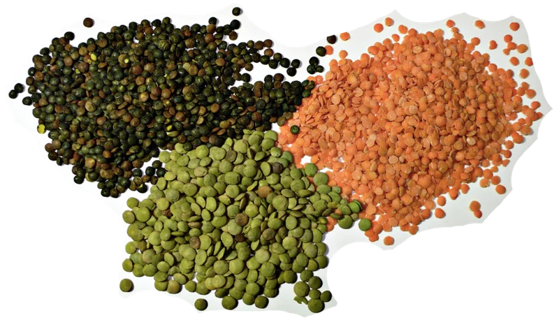 Lentils, a common cooking ingredient with many substitutes