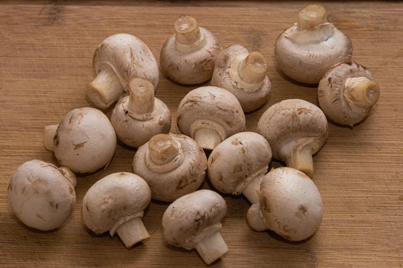 Mushrooms