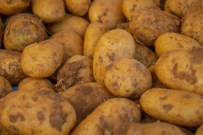 Potato