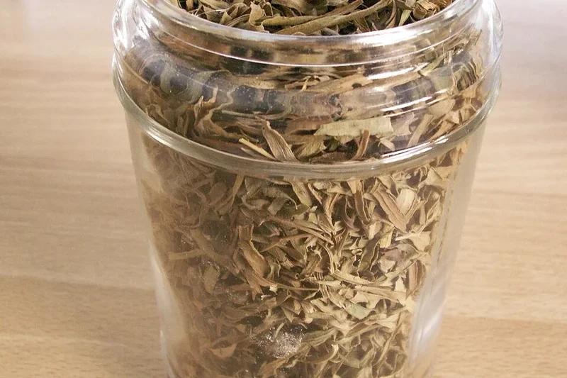 Tarragon