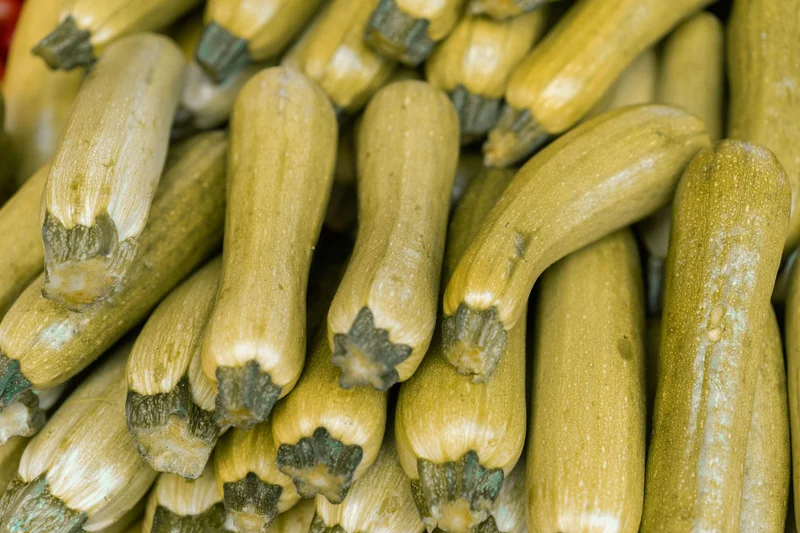 Zucchini